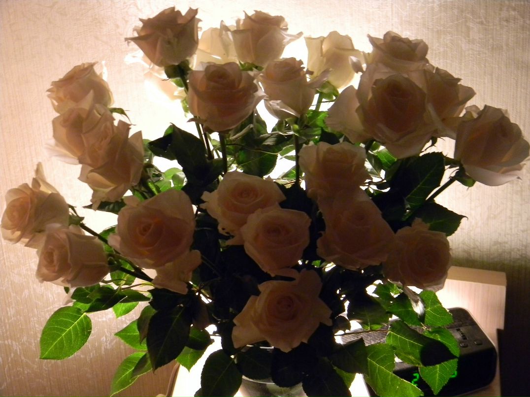 Katya Kachalova фотография #41