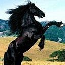 Фотография Марковой Анастасии