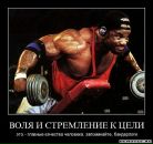Николай Бердников фотография #5 (источник - https://vk.com/id1941204)