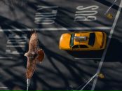 Фотография Ifyoureim Kirk