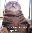 Саня Біленко фотография #44 (источник - https://vk.com/id73620213)