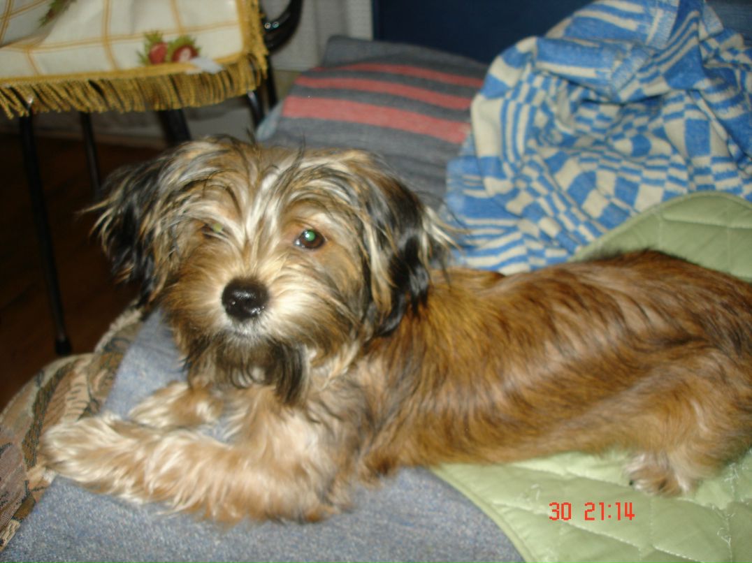 Иван Андреев фотография #26