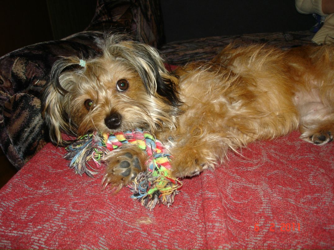 Иван Андреев фотография #19