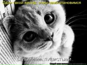 Фотография Благонравовой Татьяны