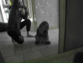 Уляна Михайлович-Біла фотография #46 (источник - https://vk.com/id167537054)