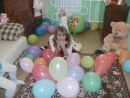 Фотография Будзинской Натали