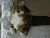 Фотография Бейдик Сергей