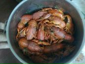 Віктор Черненко фотография #20 (источник - https://vk.com/id158392274)