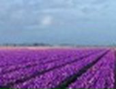 Аня Хасанова фотография #15 (источник - https://vk.com/id231013)