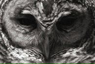 Фотография Набилкина Вани