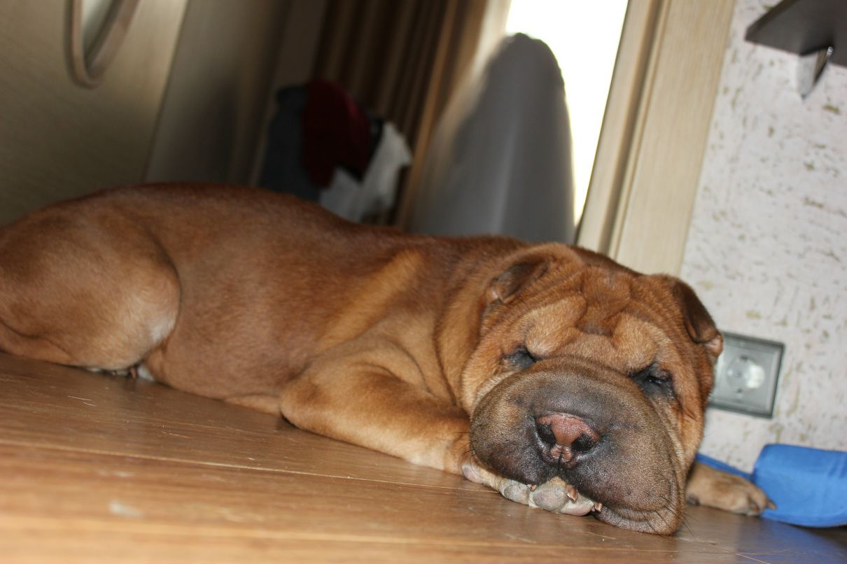 Денис Степанов фотография #38