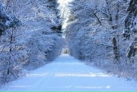 Фотография Сергеевича Андрея