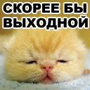 Фотография Карачёвой Надежды