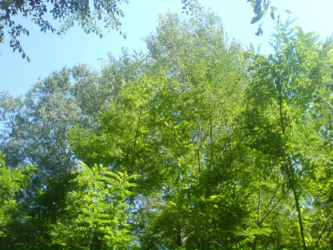 Иван Кузнецов фотография #19