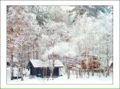 Фотография Пажитнова Никиты