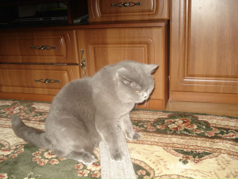 Софья Майдан фотография #25