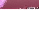 Олеся Вуйців фотография #21 (источник - https://vk.com/id74029763)