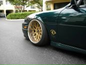 Роберт Милагрес фотография #35 (источник - https://vk.com/id354861)