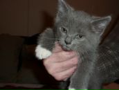 Фотография Леонтьевой Екатерины