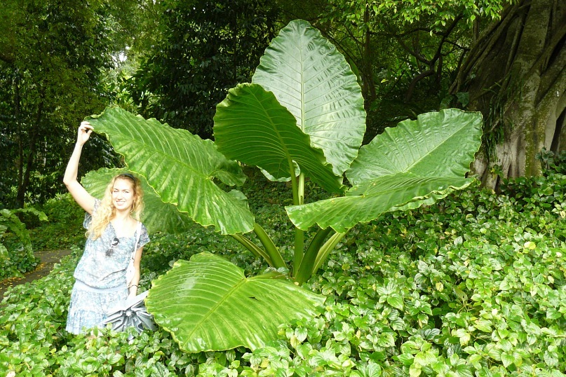 Инна Ткаченко фотография #36
