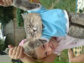 Анічка Юзвик фотография #38 (источник - https://vk.com/id64416687)