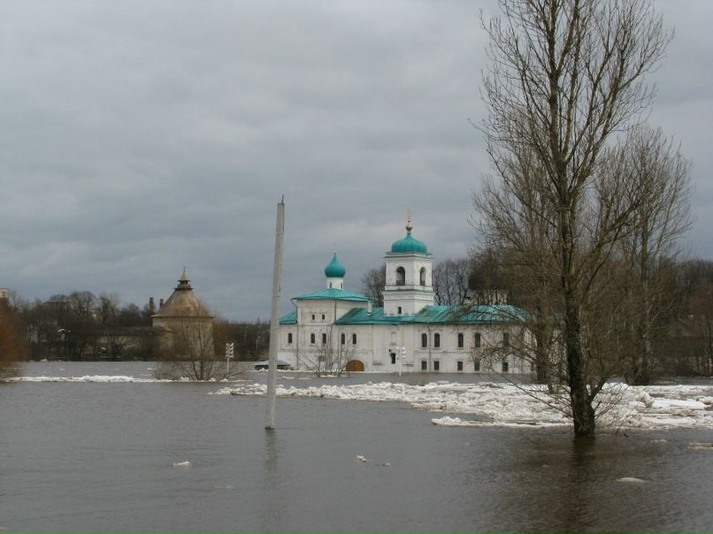 Дмитрий Машара фотография #50