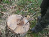 Фотография Прусса Бориса