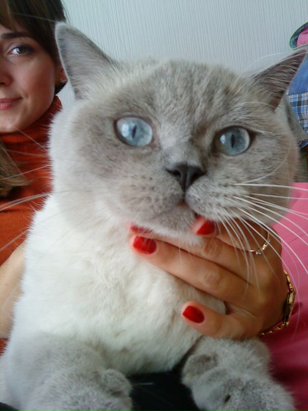 Оля Бохан фотография #10