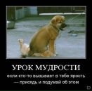 Александр Драпаченко фотография #47 (источник - https://vk.com/id5321972)