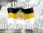 Фотография Дементьевой Екатерины