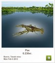Андрій Демченко фотография #31 (источник - https://vk.com/id163012515)