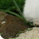 Віка Гавій фотография #49 (источник - https://vk.com/id132443496)