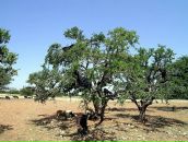 Татьяна Муравьеваа фотография #31 (источник - https://vk.com/id8780001)