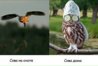 Ірина Редько фотография #27 (источник - https://vk.com/id55667456)