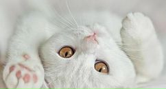 Фотография Шаридан@ Наташи