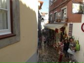 Артём Павеличев фотография #31 (источник - https://vk.com/id72030549)