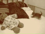 Валентин Плотко фотография #31 (источник - https://vk.com/id2333662)