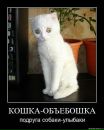 Фотография Гребенщиковой Насти