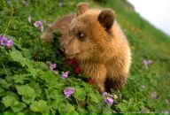 Фотография Лазаревой Ольги