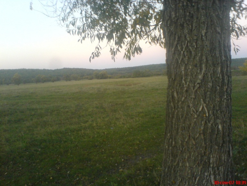 Дмитрий Паркачёв фотография #50