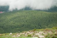 Коля Горішний фотография #9 (источник - https://vk.com/id17308018)