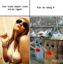 Вітьок Демчук фотография #28 (источник - https://vk.com/id12631328)