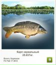 Сергій Тимків фотография #17 (источник - https://vk.com/id56049737)