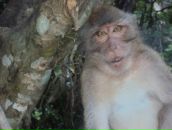 Фотография Тихонова Максима