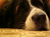 Фотография Смолиной Натальи