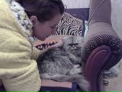 Діма Білет фотография #49 (источник - https://vk.com/id42002144)