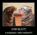 Фотография Потапова Василия