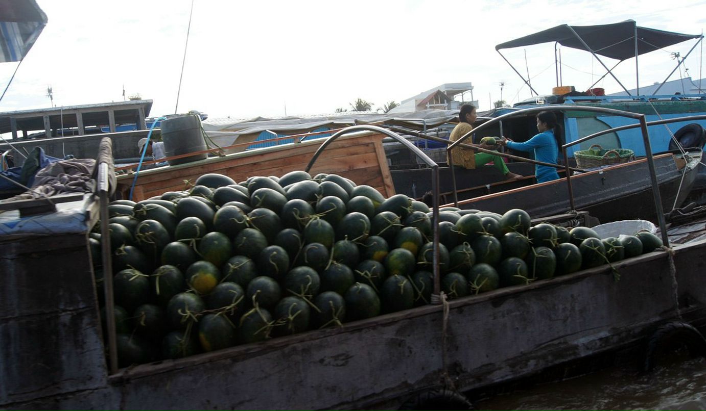 Рома Марек фотография #33