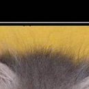 Христина Якімець-Максимяк фотография #44 (источник - https://vk.com/id21782638)