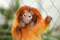 Фотография Спиридоновой Натальи